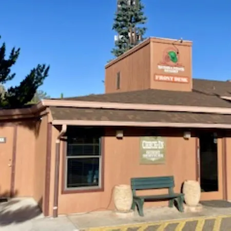Sedona Pines Resort