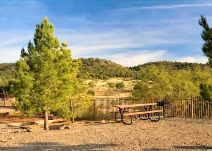 Pines 5*